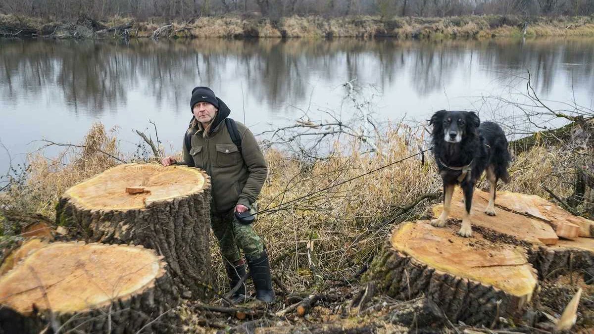 Masowa wycinka drzew nad Bugiem – kontrowersje wokół budowy zapory granicznej.